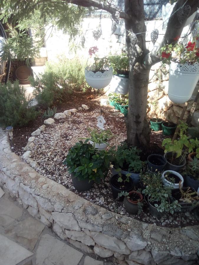 Villa Ana Zivogosce-Apartment4 Dış mekan fotoğraf