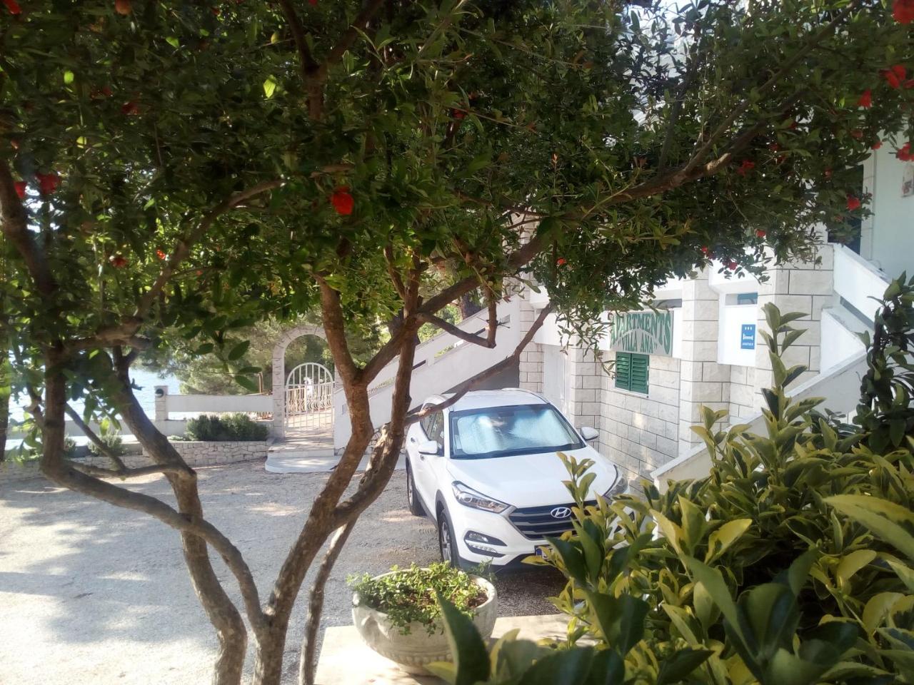 Villa Ana Zivogosce-Apartment4 Dış mekan fotoğraf