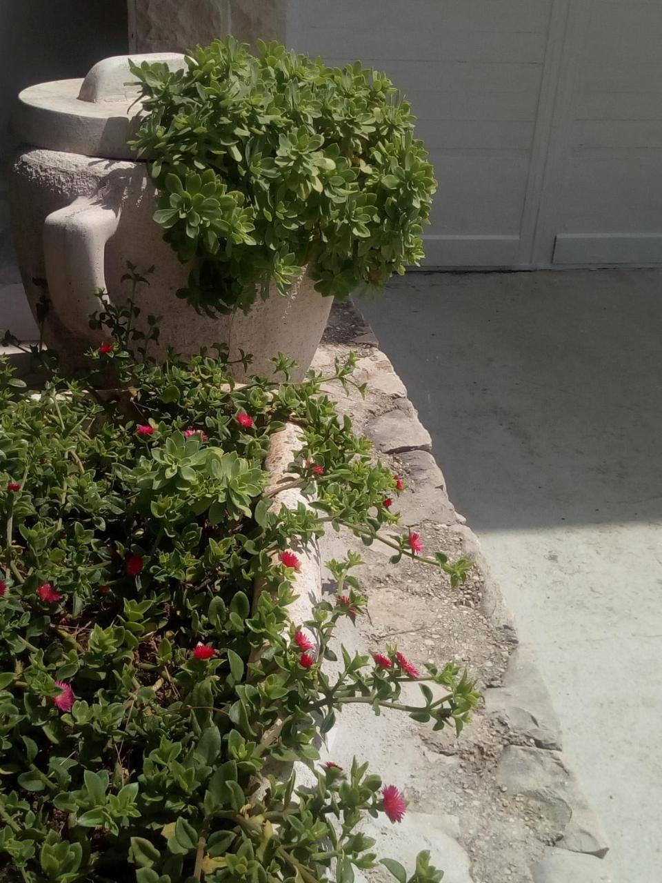 Villa Ana Zivogosce-Apartment4 Dış mekan fotoğraf